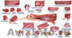 Продаем, мясо(свинина говядина баранина), птицу, рыбу, морепродукты, яйцо. - Изображение #1, Объявление #605365