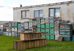 Ульи для пчёлиные - Изображение #3, Объявление #634718