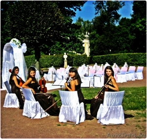 Violin Group DOLLS - струнный квартет(поп,рок,кинокомпозиции,классика) - Изображение #7, Объявление #651133