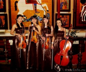 Violin Group DOLLS - струнный квартет(поп,рок,кинокомпозиции,классика) - Изображение #6, Объявление #651133