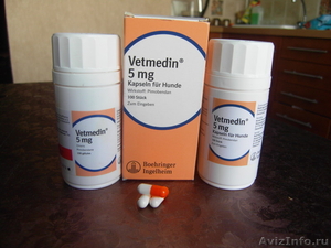 Ветмедин 5 мг 2 упаковки + нороклав ( антибиотик)  - Изображение #1, Объявление #672019