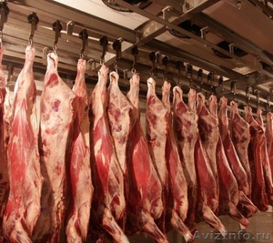 продажа оптом говядины, свинины из Беларуси - Изображение #1, Объявление #684262