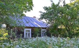 Дом без земельного участка в Латвии - Изображение #1, Объявление #715503