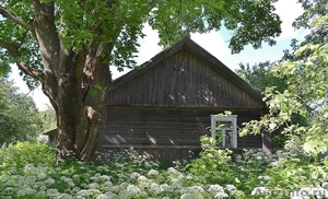 Дом без земельного участка в Латвии - Изображение #3, Объявление #715503