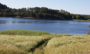Участок в Латвии около двух озер - Изображение #3, Объявление #715496
