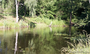 Участок в Латвии около двух озер - Изображение #4, Объявление #715496