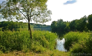 Участок в Латвии на берегу озера - Изображение #4, Объявление #715498