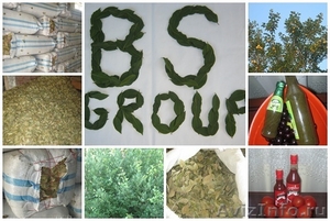 BSGROUP LTD высококачественные продуктыи из Грузии - Изображение #1, Объявление #723918