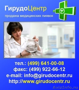 Медицинские пиявки – продажа и доставка - Изображение #2, Объявление #752350