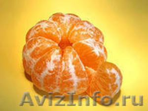 Испанский мандарин, апельсин, лимон от производителя - Изображение #1, Объявление #763865