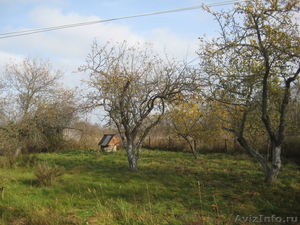 Продам дом в Беларуси на границе с РФ - Изображение #3, Объявление #786065