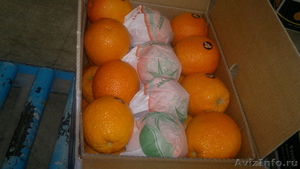 Апельсины, мандарины, картофель, лук Египет - Изображение #2, Объявление #513292