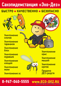 Уничтожение насекомых, клопов и тараканов в Москве - Изображение #1, Объявление #833248