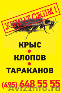 Уничтожение тараканов, уничтожение клопов в Москве - Изображение #1, Объявление #832483