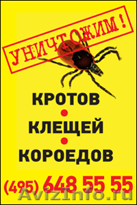 Уничтожение тараканов, уничтожение клопов в Москве - Изображение #2, Объявление #832483