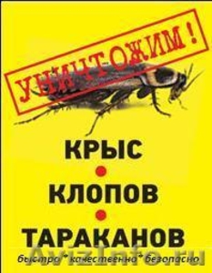 Уничтожение клопов - профессионально, Москва - Изображение #3, Объявление #835633