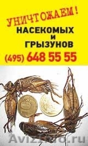 Уничтожение тараканов, уничтожение клопов - надежно, Москва - Изображение #1, Объявление #836377