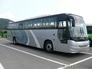 Продаём автобусы Дэу Daewoo  Хундай  Hyundai  Киа  Kia  в наличии Омске. Москва - Изображение #1, Объявление #848489