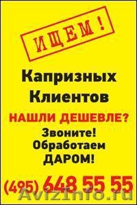 Уничтожение клопов в Москве - быстро и недорого - Изображение #2, Объявление #833929