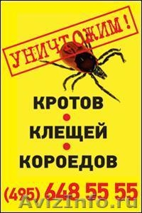 Уничтожение клопов в Москве - быстро и недорого - Изображение #4, Объявление #833929