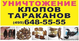Уничтожение клопов и тараканов - дезинсекция, дератизация в Москве - Изображение #1, Объявление #865738