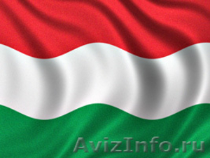 Поможем оформить гражданство Венгрии - Изображение #1, Объявление #851450
