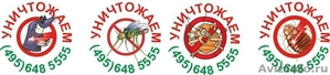 Уничтожение клопов и других бытовых насекомых  - Москва  - Изображение #1, Объявление #890539