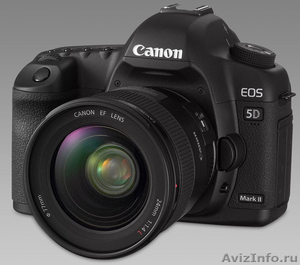 Canon EOS 5D Mark II с 70-200mm  Объектив - Изображение #1, Объявление #878241