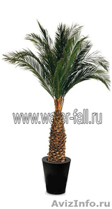 Искусственные и стабилизированные пальмы  - Изображение #2, Объявление #873478