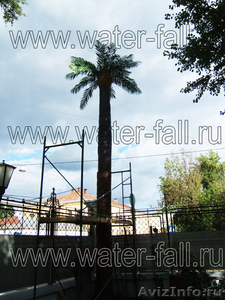 Искусственные и стабилизированные пальмы  - Изображение #3, Объявление #873478