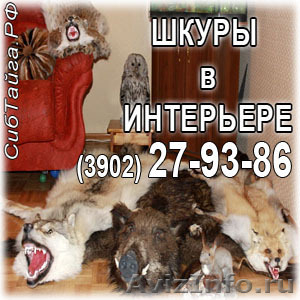 Меховой салон "Сибирская Тайга": изделия из меха, шкуры-ковры, v - Изображение #1, Объявление #905828