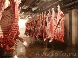 Оптовая и мелкооптовая продажа мяса - Изображение #3, Объявление #919861