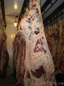Оптовая и мелкооптовая продажа мяса - Изображение #1, Объявление #919861