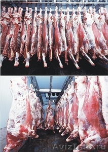 Оптовая и мелкооптовая продажа мяса - Изображение #4, Объявление #919861