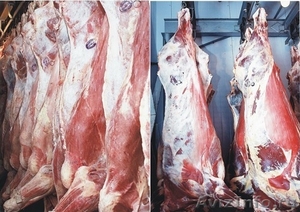 Оптовая и мелкооптовая продажа мяса - Изображение #5, Объявление #919861