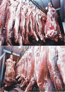 Оптовая и мелкооптовая продажа мяса - Изображение #6, Объявление #919861