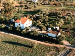 Продается  хутор в  Португали 275000EUR - Изображение #1, Объявление #911783