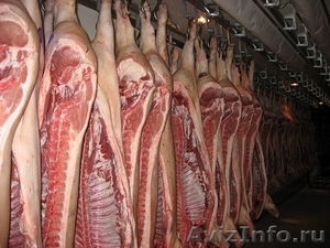 Оптовая и мелкооптовая продажа мяса - Изображение #8, Объявление #919861