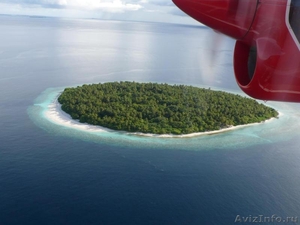 Продается  остров на Мальдивах - Изображение #2, Объявление #930798