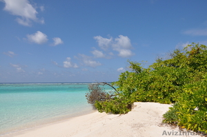 Шикарный остров на Мальдивах - Изображение #4, Объявление #930809
