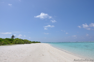 Шикарный остров на Мальдивах - Изображение #1, Объявление #930809