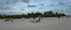 Продается частный остров на Мальдивах - Изображение #5, Объявление #930792