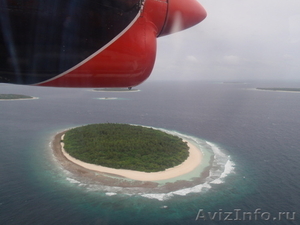 Шикарный остров на Мальдивах - Изображение #2, Объявление #930809