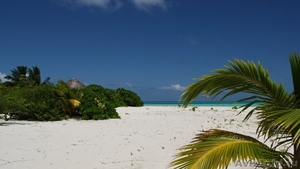 Продается частный остров на Мальдивах - Изображение #8, Объявление #930792