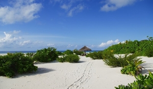 Продается частный остров на Мальдивах - Изображение #2, Объявление #930792