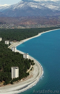 Отдых в Абхазии у моря частный дом - Изображение #10, Объявление #933499
