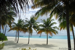 Шикарный курорт - отель на Мальдивах - Изображение #7, Объявление #930803