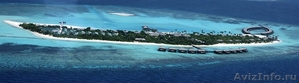 Шикарный курорт - отель на Мальдивах - Изображение #2, Объявление #930803