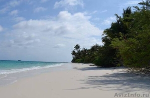  Красивый остров на Мальдивах - Изображение #6, Объявление #931742