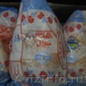 Цыплята-бройлеры, замороженные, в индивидуальном цветном пакете - Изображение #4, Объявление #925575